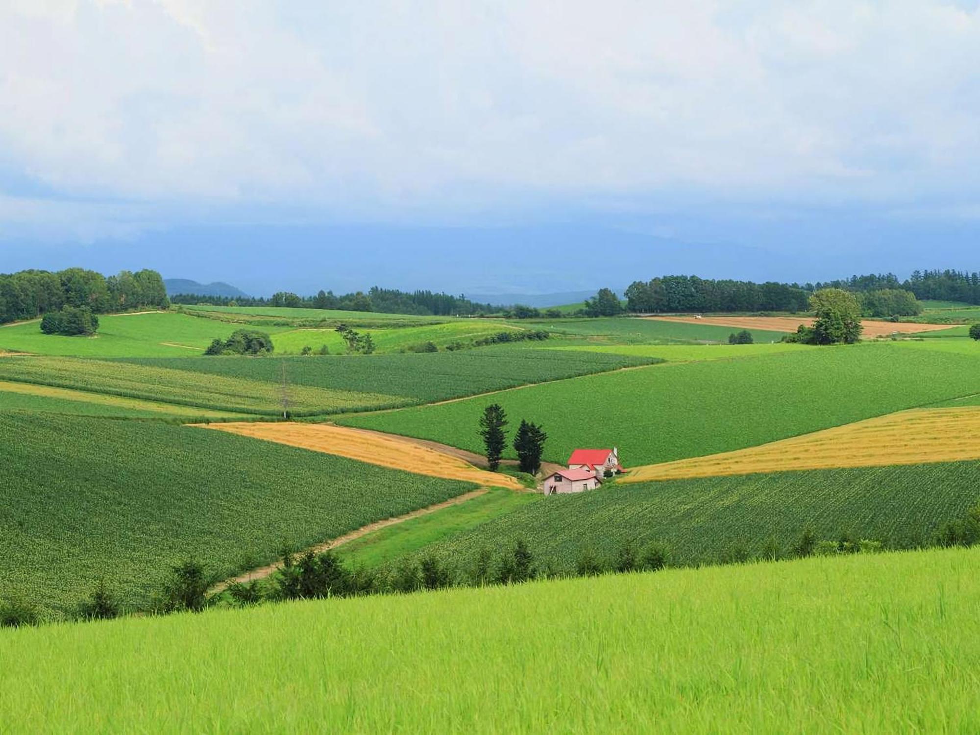 Hotel Naturwald Furano Luaran gambar