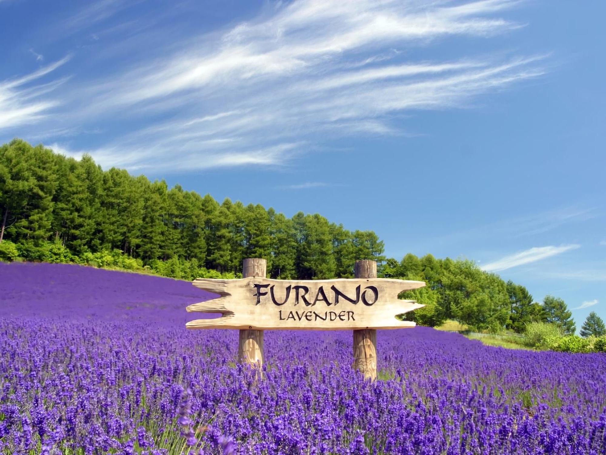 Hotel Naturwald Furano Luaran gambar