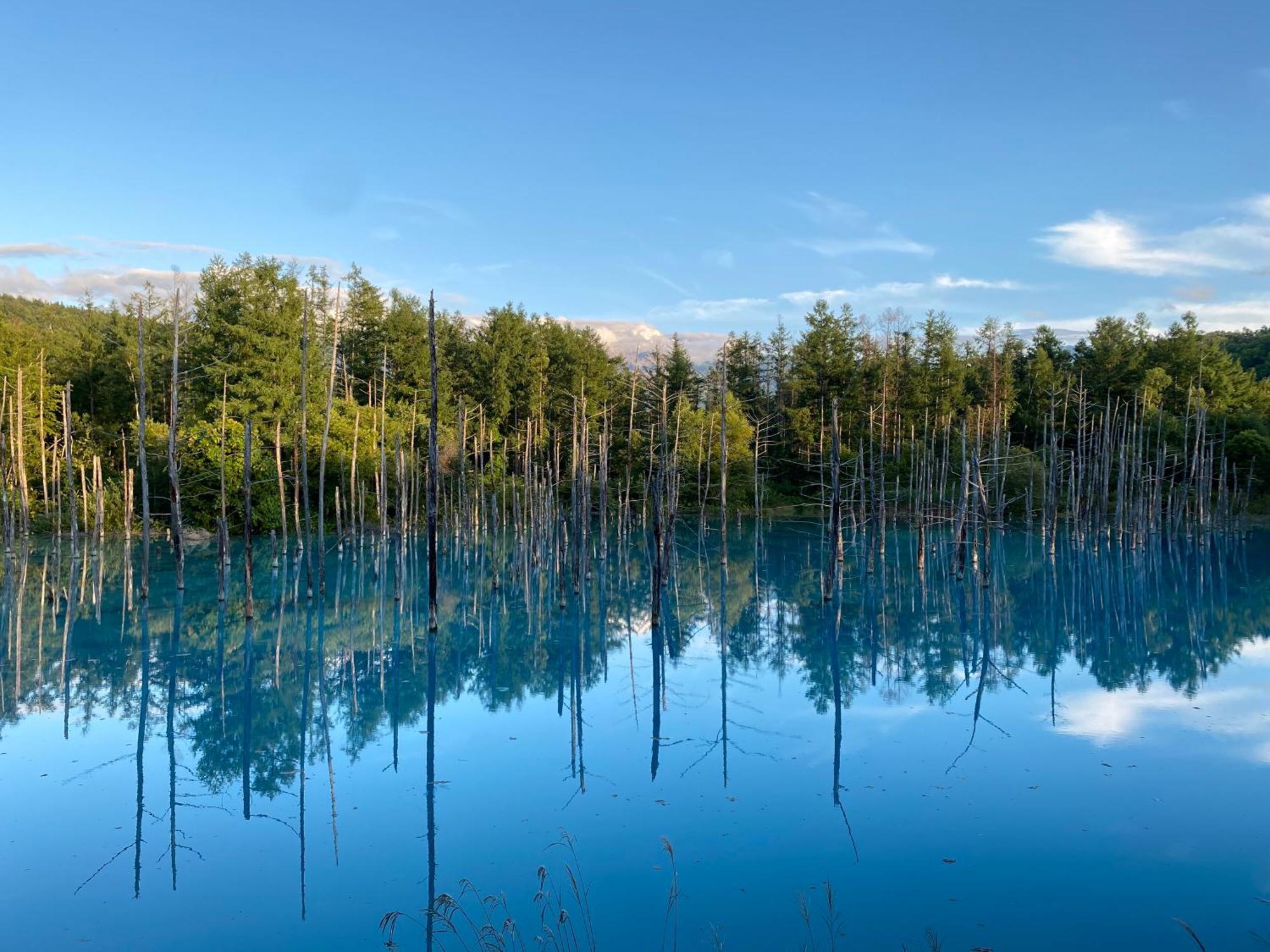Hotel Naturwald Furano Luaran gambar