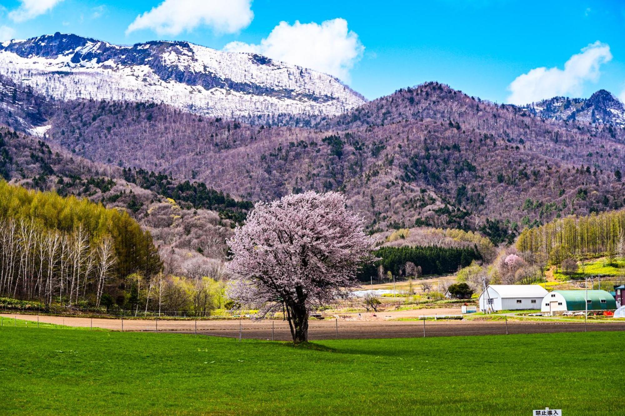 Hotel Naturwald Furano Luaran gambar